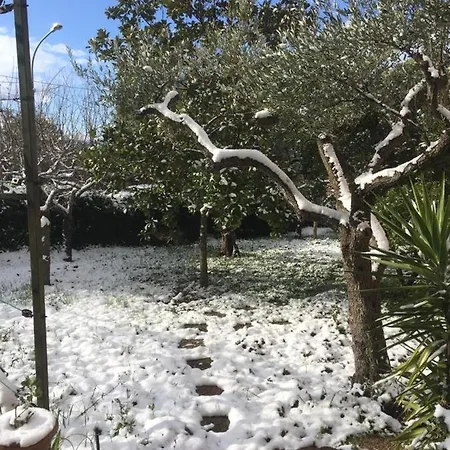 Casa Franca Alojamento de Acomodação e Pequeno-almoço