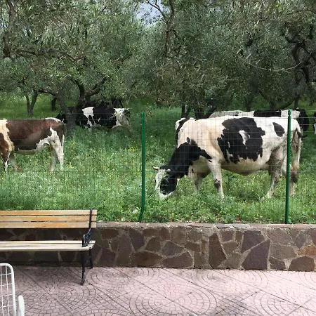 Casa Franca Couette-café