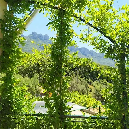 Alojamento de Acomodação e Pequeno-almoço Casa Franca Postiglione