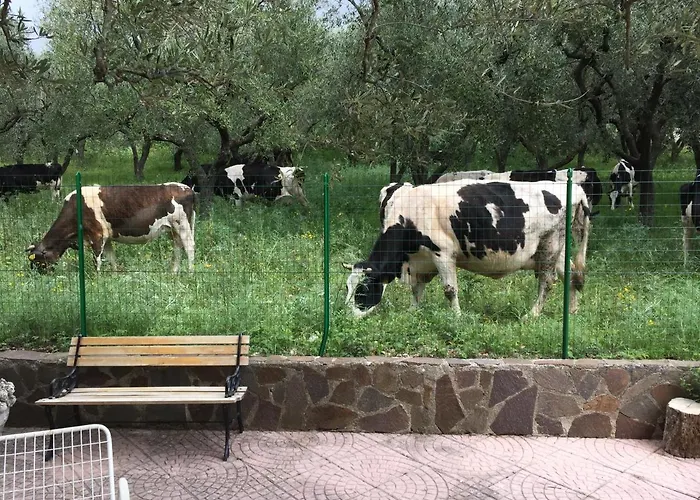 Casa Franca Bed & Breakfast